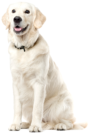 /public/uploads/20250315/4e68aa20e6f8a1c829ca0f1f07925ecc.png