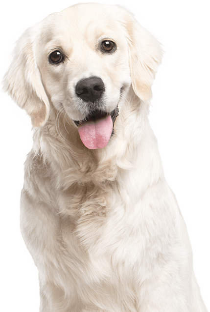 /public/uploads/20250318/19f99252804f14b3d90bcf7784a429a8.png